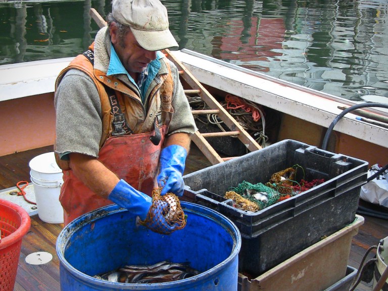 lobster lobsterman photography maine portland coast warf bait fishing trap photo