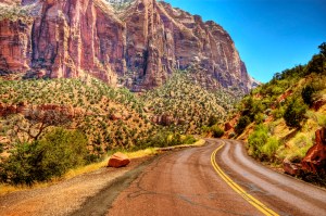 winding road zion road road-trip zion national park southwest photography highway scenic